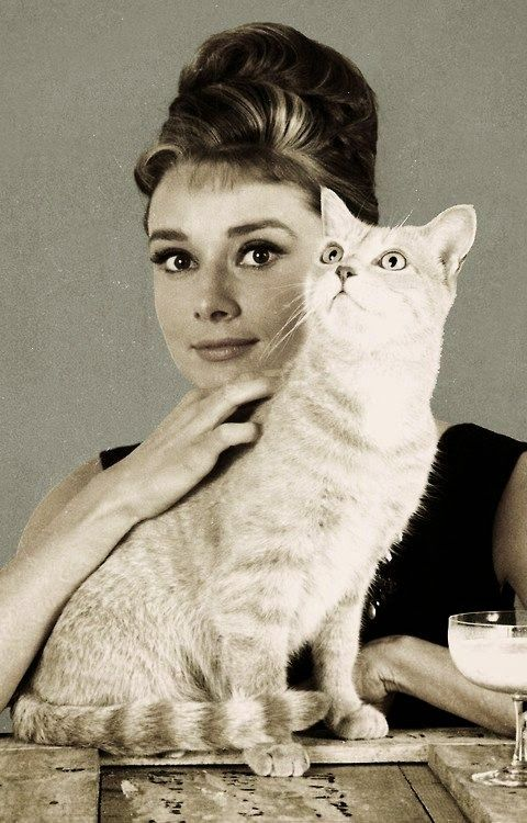 Aesthetic Sharer ZHR tweet media