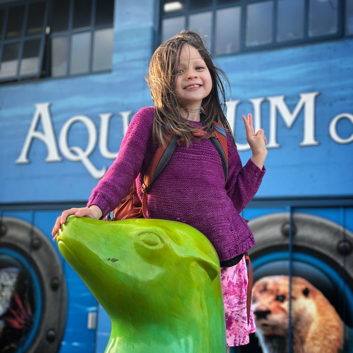 Jeff Lin tweet media