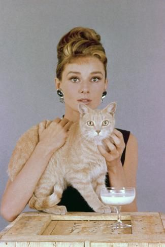 Audrey Hepburn and her cat.