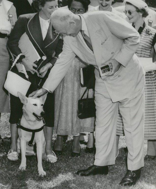 Eisenhower, toonde zowel als  generaal en als president  regelmatig interesse in geleidehonden #president #generaal #historie #geleidehond #guidedog USA/jaren ‘40 en ‘50