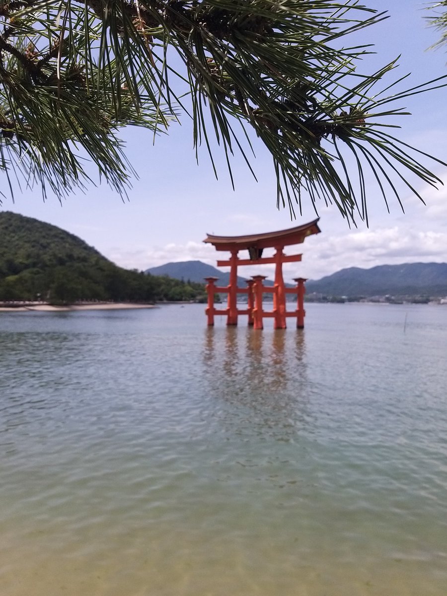 Ongcharles9's tweet photo. Miyajima Island. #hiroshima #miyajima #tori #torigate #tourist #island #culture #japanculture #touristisland #japantour #広島 #宮島 #鳥取 #観光 #島 #文化 #日本文化 #観光島 #私たちの日本 https://t.co/y4DSXnep23