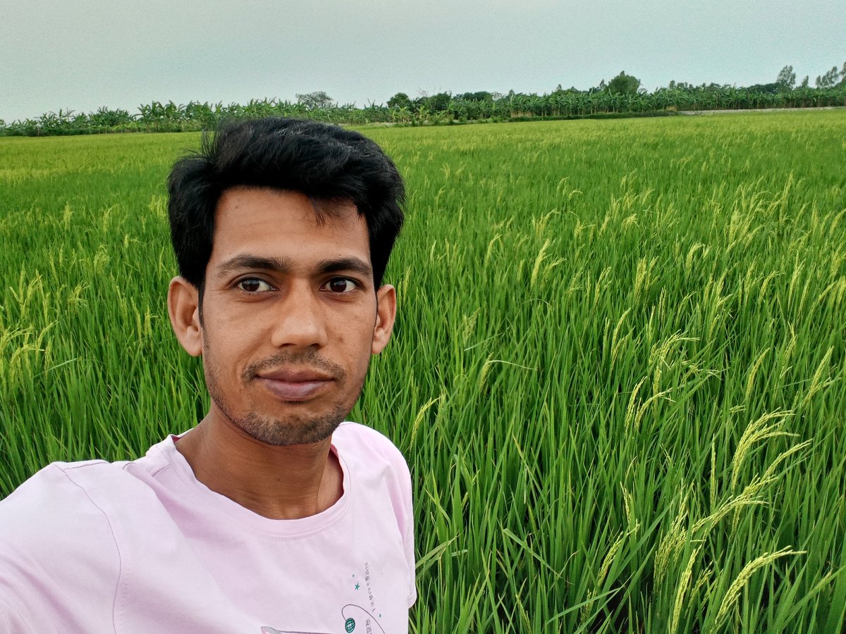 সোনালী বিকেল ❣️❣️