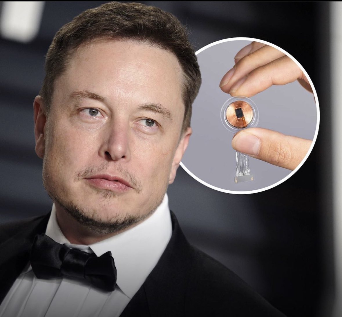 Lorenzo Green 〰️ on Twitter: "🚨BREAKING: Elon Musk’s brain chip company