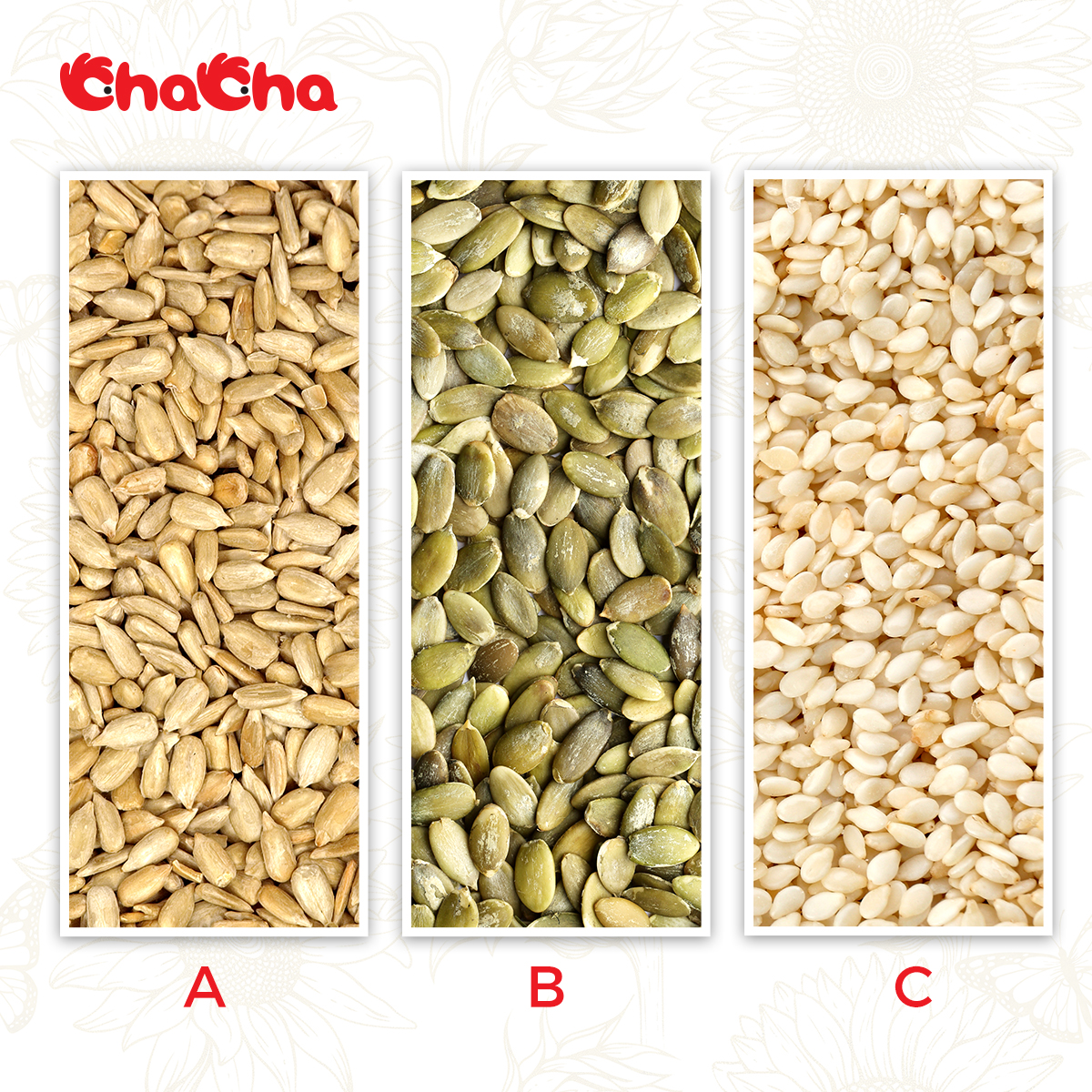 #ChaChaCreative
🧐Can you point out which one is the sunflower seed? Comment below and I will check out who’s the fastest 😜
 #ChaChaMoment