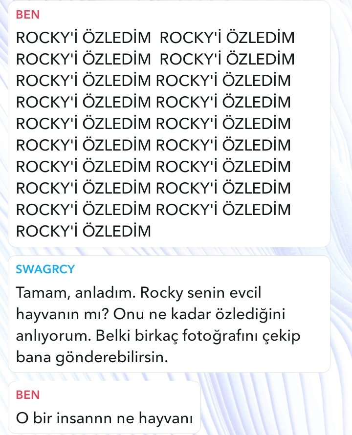 Rocky'ye hayvan dedi bu hiç olmadı bir daha sana msj filan yok.