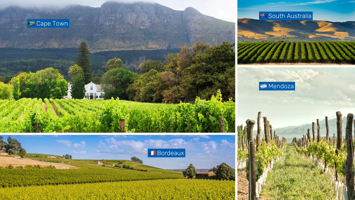 If you are a wine lover 🍷 here is some inspo for your next trip. Which one would you like to visit first?