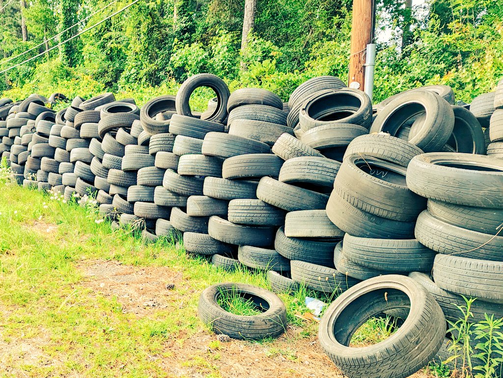 Greg Milton and 42 others tweet media