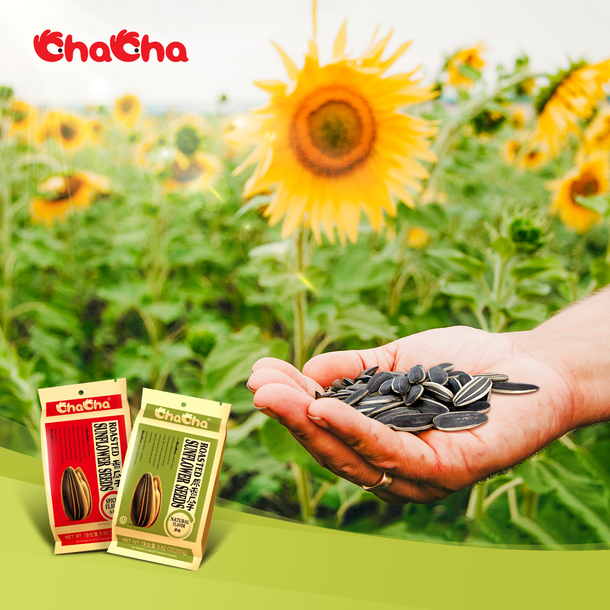 #ChaChaGo 🤝Cherish what nature gives us, ChaCha hope you enjoy it! #ChaChaMoment