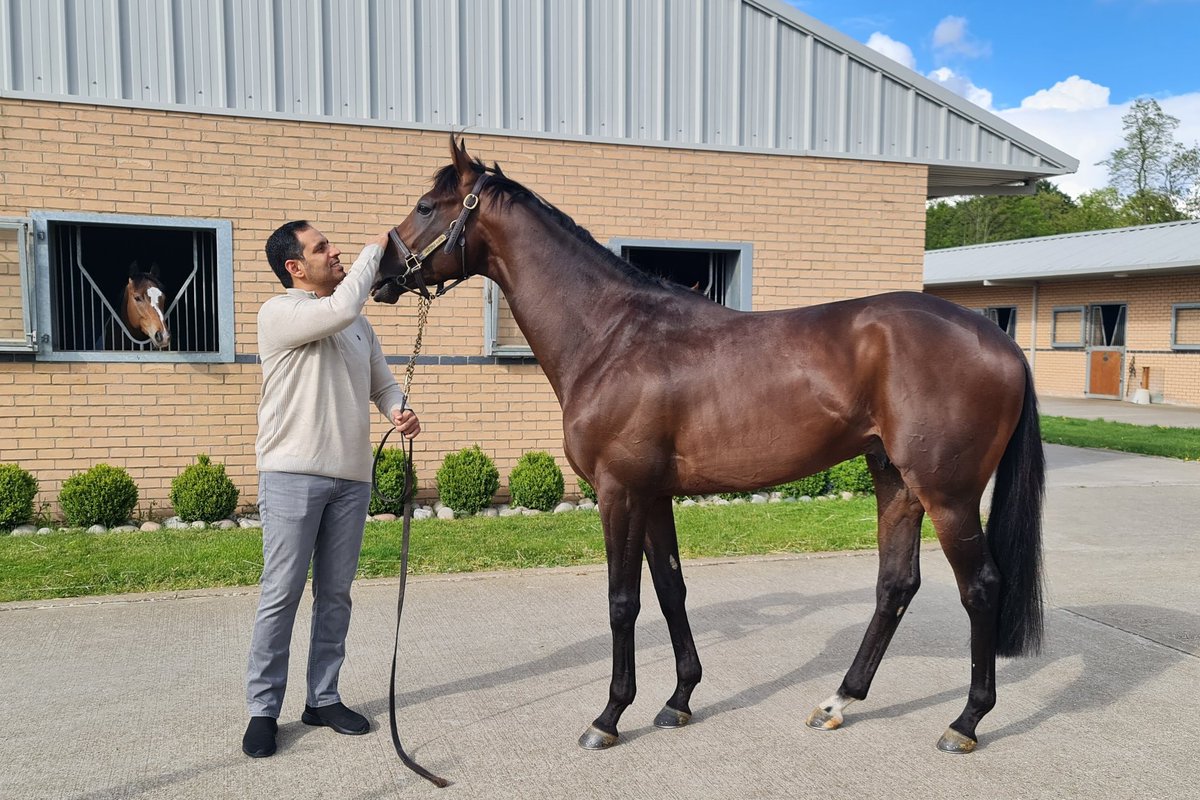 Royal Dubai 🤴 this handsome dude won @ChelmsfordCRC his UK debut for @MarcoBotti under a well-timed ride by @Atzenijockey . Delighted for @salrahoomi, our plan to take him back to UK has worked out 💪 Breeze up purchase @Tattersalls1766 @BrzUps @HydeStud #NewApproachBloodstock