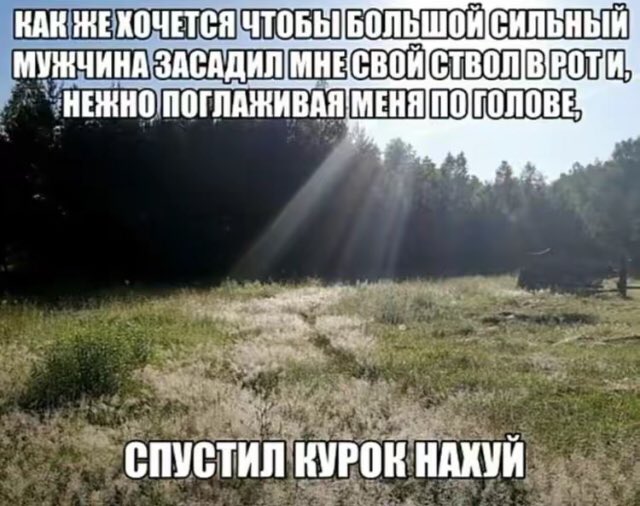 Дазай и Дазай-кинни такие типа: