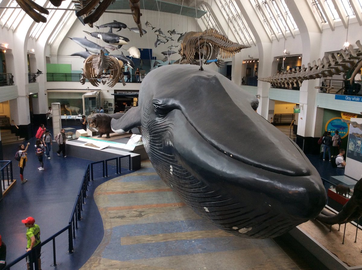 Mabs Cross Y6B tweet media