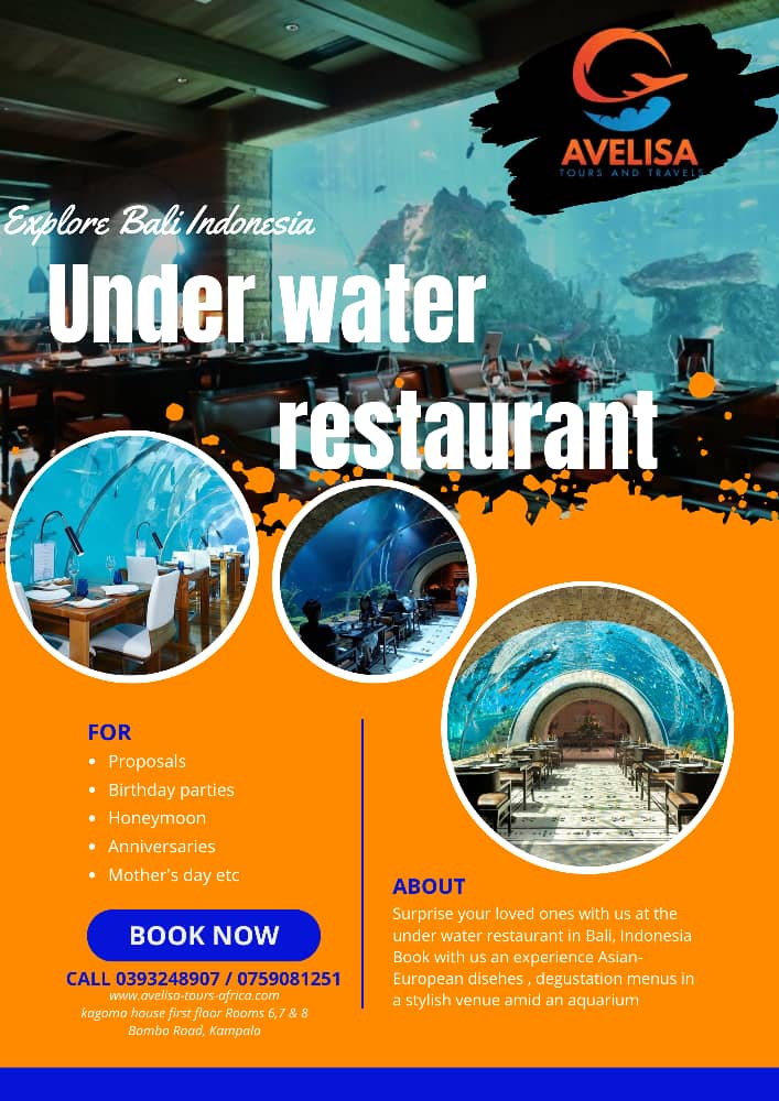 💫 There's life in the water and we bring you exactly that. Experience an Indonesian underwater restaurant with us with just one tap. Visit our website: avelisa-tours-africa.com ✍️Offices: Located on Kagoma house first floor along Bombo road #AvelisaTours