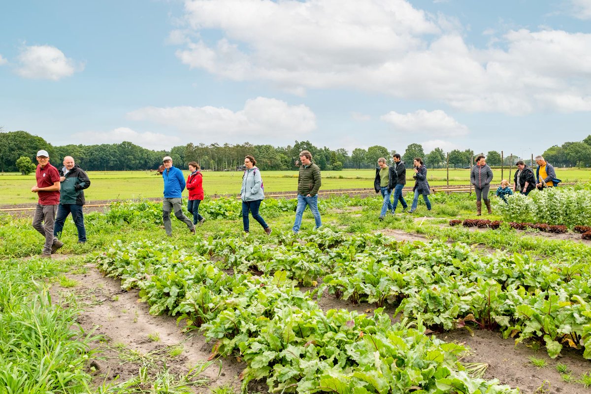 Elke week verse groenten van het seizoen, eitjes en voor wie wil: (h)eerlijk vlees. En dat ‘gewoon’ van je éigen boerderij, verzorgd door je éigen boer. Op 3 juni leggen we je tijdens deze informatie-ochtend Ben jij erbij? bit.ly/447DwlT
#hbgoedentijd #herenboeren