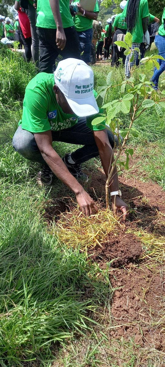 Happy to be part of the Narok100000Trees Project
@yfga_kenya