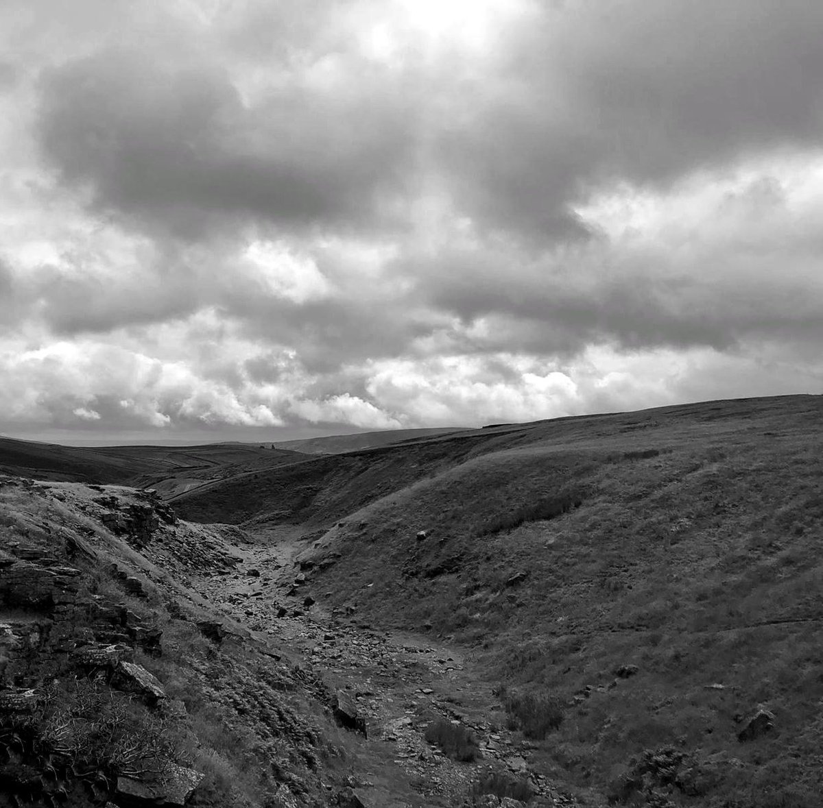 all my relations tweet media