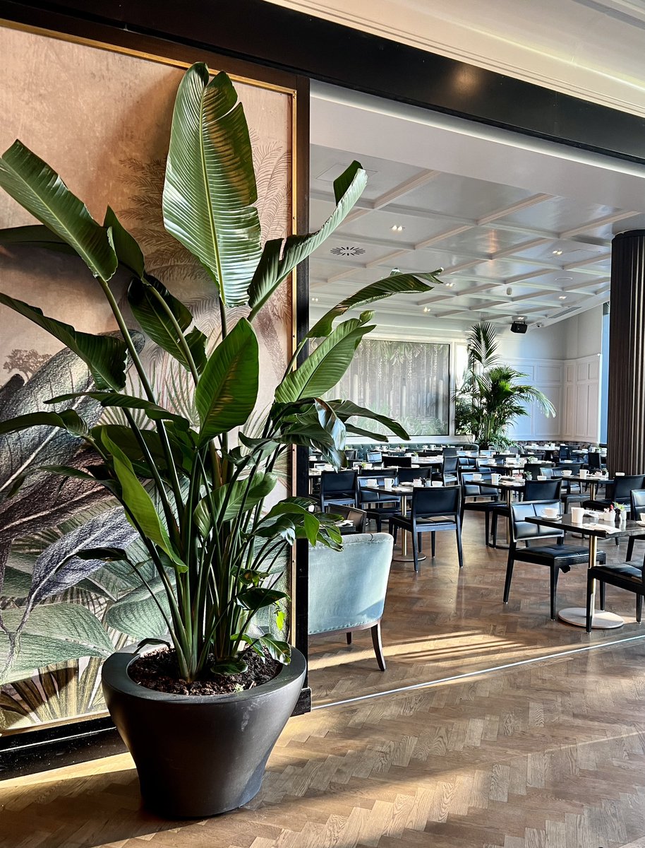 @poloconghaile tweet media