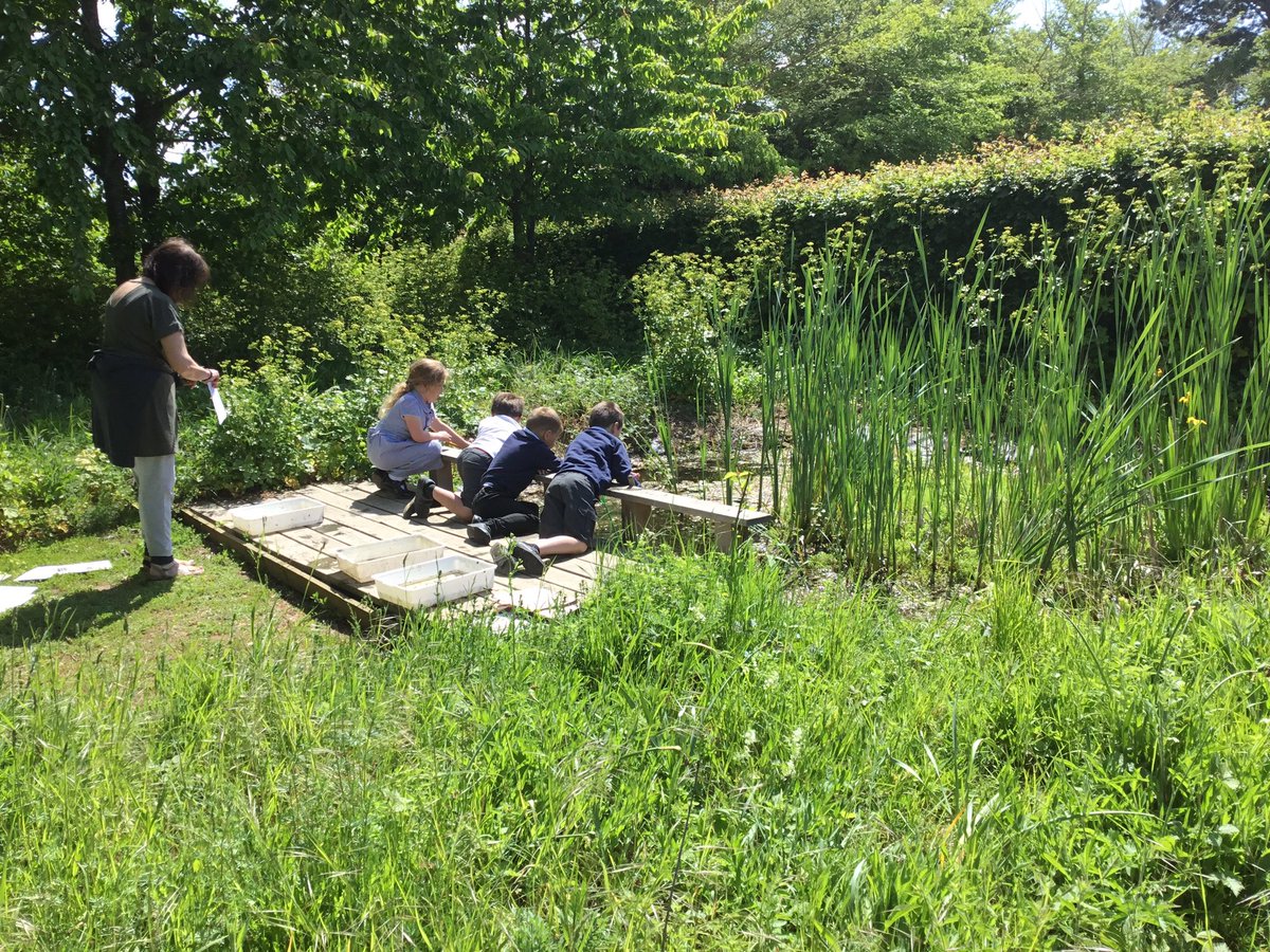 Shotley Badgers tweet media