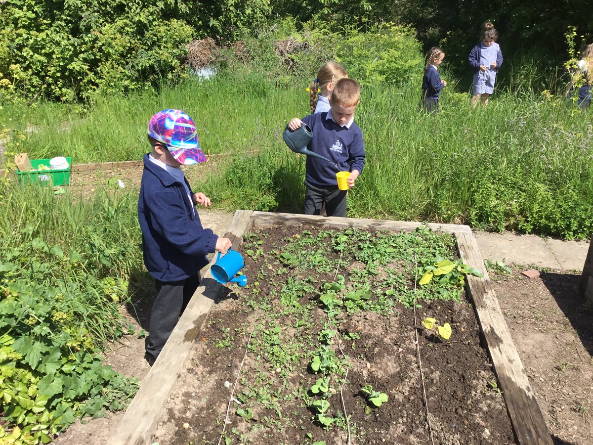 Shotley Badgers tweet media