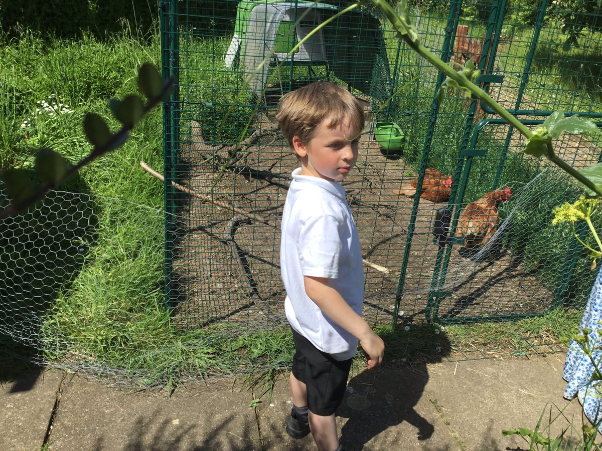 Shotley Badgers tweet media