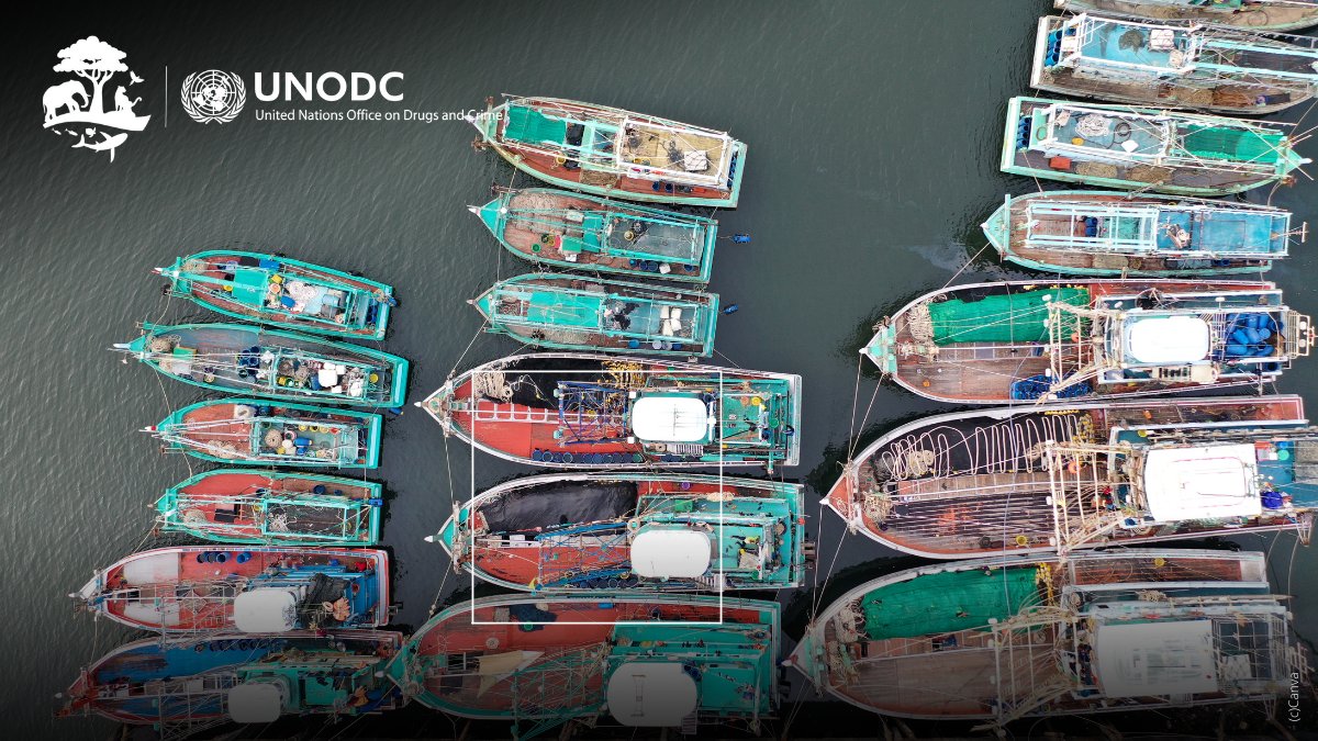 Corruption, large-scale tax evasion and money-laundering are crimes in the fisheries sector, rendering it highly profitable and undermining law and accountability.

Financial investigation is key to identify those who profit from crimes in the fisheries sector. #crimesinfisheries