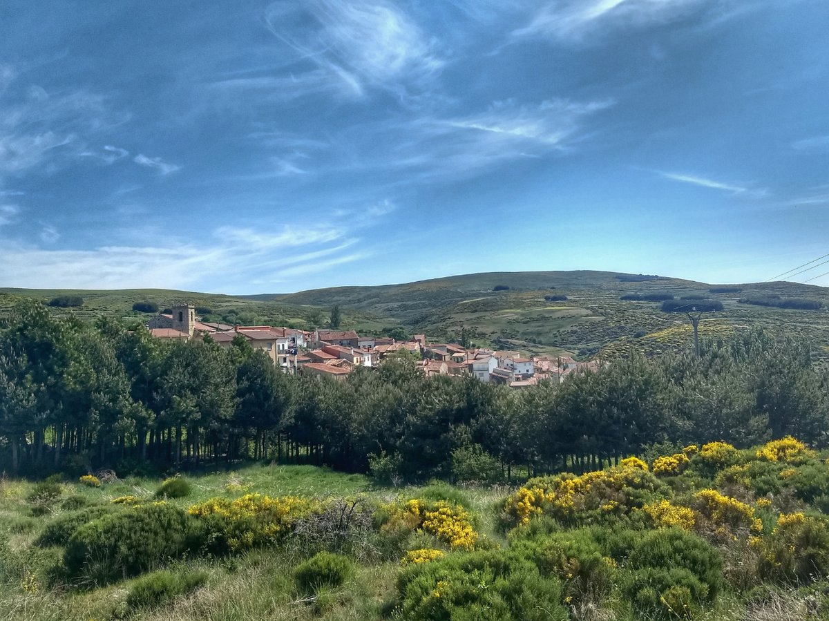 Nuestra carrera te acerca a lugares que no conoces. Pueblos cargados de tradiciones y con unos paisajes increíbles.

¡Ven a conocernos y disfruta!

🗓️ 29/07/2023 - 09:00h
🌍 Horcajo de la Ribera (Ávila)
🎯 27Km +1.150m y 12Km +400m.
✍️ INSCRIPCIONES en: crossdelospastores.com