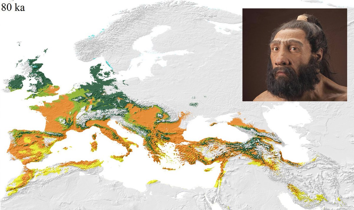 Fereidoun Biglari tweet media