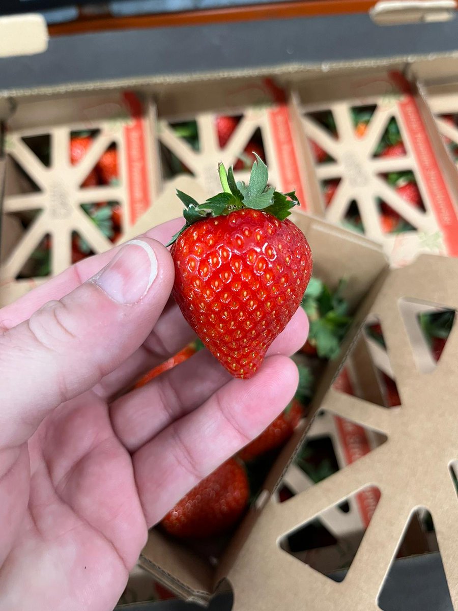 First Choice Produce tweet media