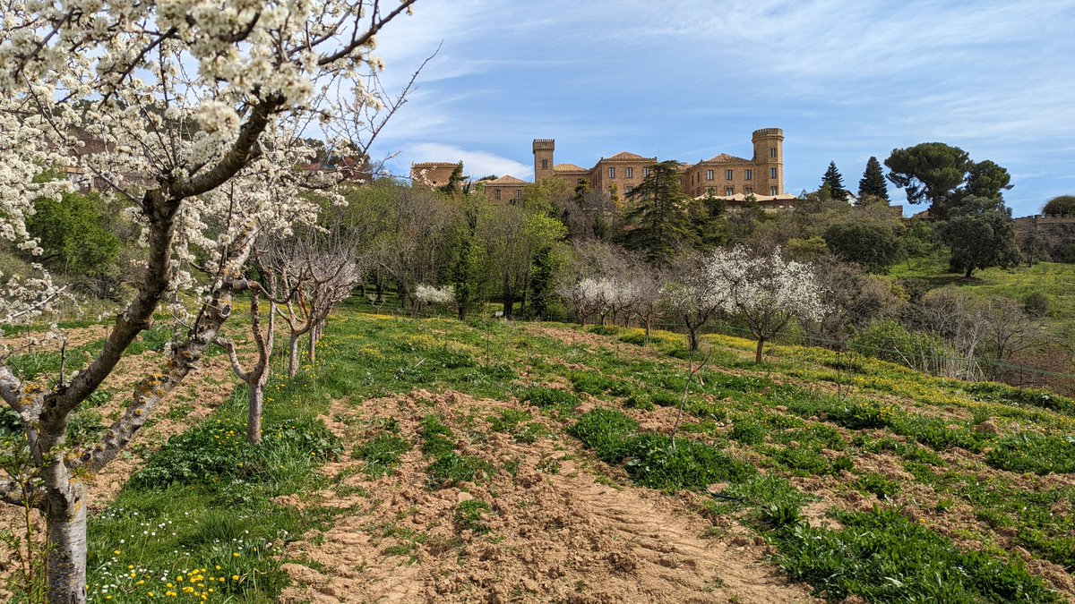jmdepablo's tweet image. El Camino de Santiago y los ríos Ebro y Arga son los vértices del triángulo del @PacharanNavarro, una tierra donde descubrir un legado centenario que se palpa en cada pueblo, cada campo de endrinos y cada bodega de la D.O. 
Nuevo reportaje para @Cerodosbe  economiadigital.es/tendenciashoy/…
