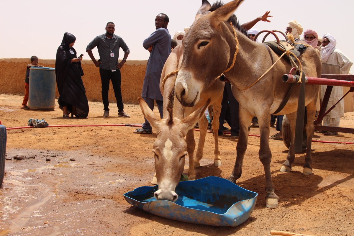 AGrandICRC's tweet photo. #Ménaka subit depuis plus d’un an les conséquences humanitaires d’une situation conflictuelle très volatile dans toute la région. Des dizaines de milliers de déplacés arrivés en ville, des services sociaux de base surchargés et un niveau d'insécurité alimentaire très préoccupant. https://t.co/4m8V6ro0qh