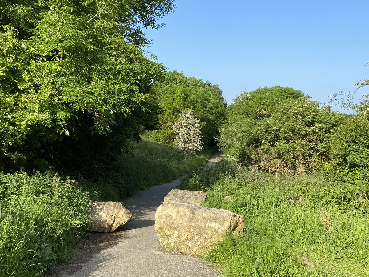 BElliottAuthor's tweet photo. Walking the old three pits mineral line
Edlington Main
(Yorkshire Main)
Cadeby Main
Denaby Main

Barnsley Seam + 

Real price: lives lost lives harmed. Never forget 

@Miners_Strike @coal_legacies 
@coalmininginle1 
@Hemingfield_Pit 
@skinoverbone 
@IMcMillan https://t.co/vRs8O9EaL2