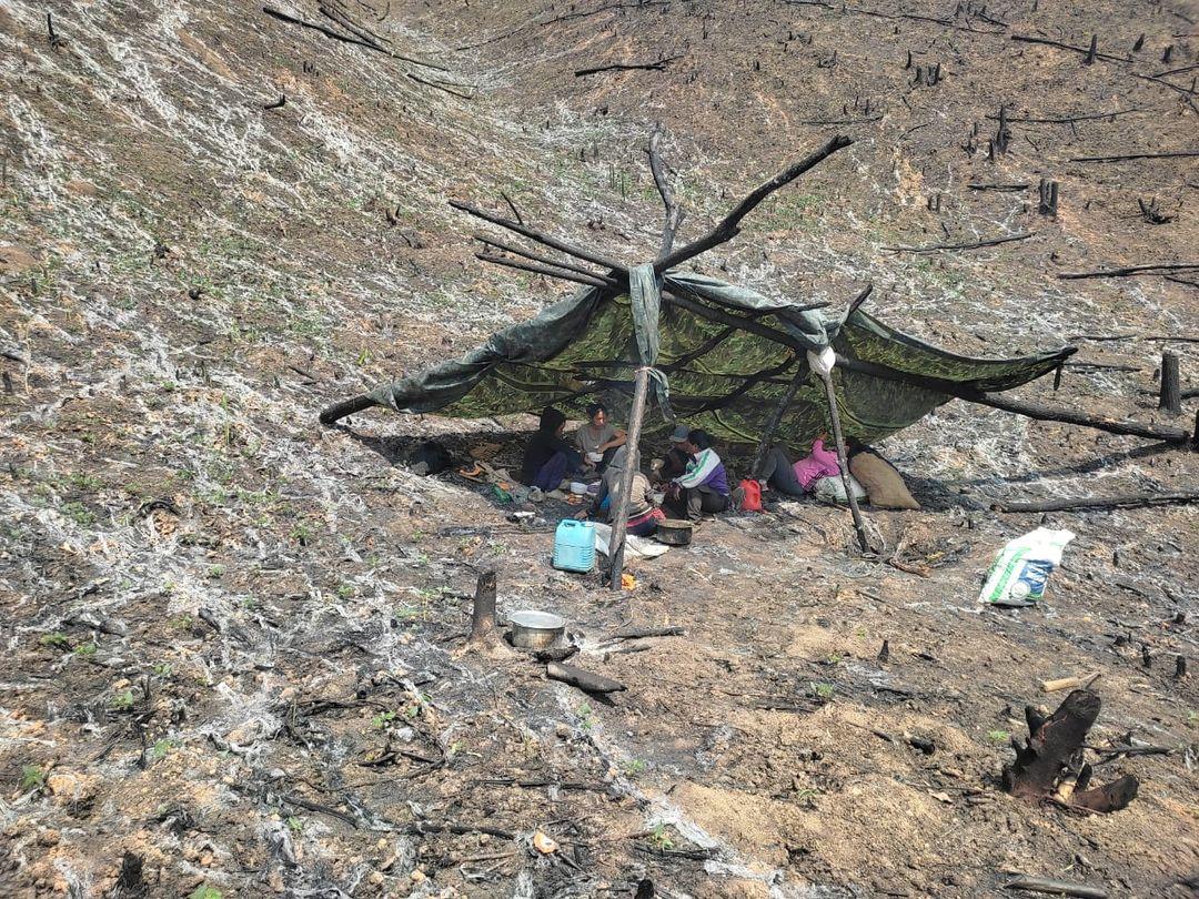 mizoraminsta's tweet photo. Kangvara bekte hnuaia chhunchawlh hmang lai
Location: Chalrang ram
Pic credit π· @puihavertz_sailo
#kangvar #bekte #lo #mizolo #zolo #jhumming #jhum #jhumsite #shiftingcultivation #cultivator #rurallife #villagelife #cultivation #agriculture #mizoram #northeastIndia #chalrang https://t.co/ZWMy9FGJdu