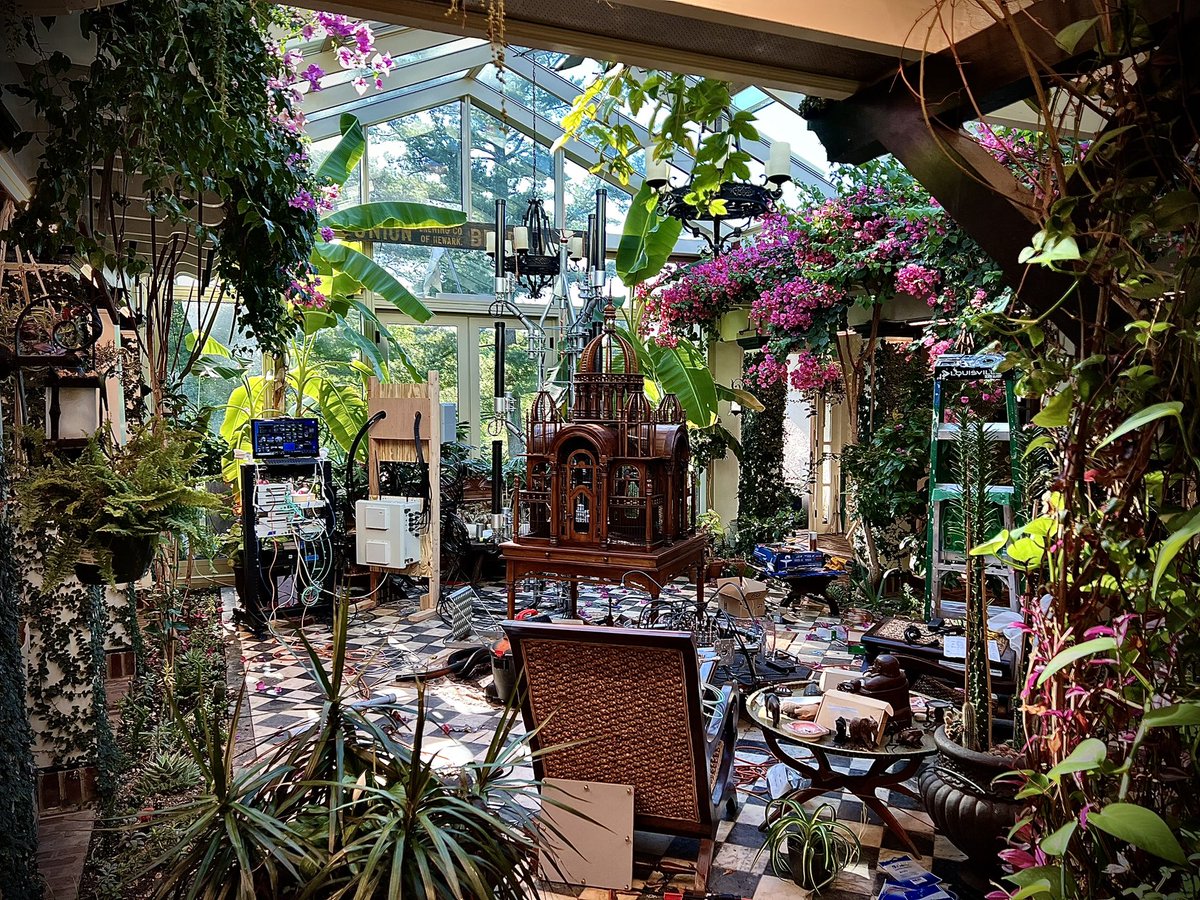 Jungle conservatory and private cell tower testing at Heuwelhuis.