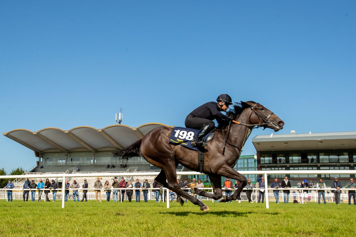 Very best of luck to all vendors & purchasers at todays @tatts_ireland @Goresbridge2yos Sales. Great to see them all in action yesterday. Another great @MorganTreacy Photo of @Fairyhouse looking great @IREthoroughbred @HRIOwners @BrzUps @OrlaDwyer