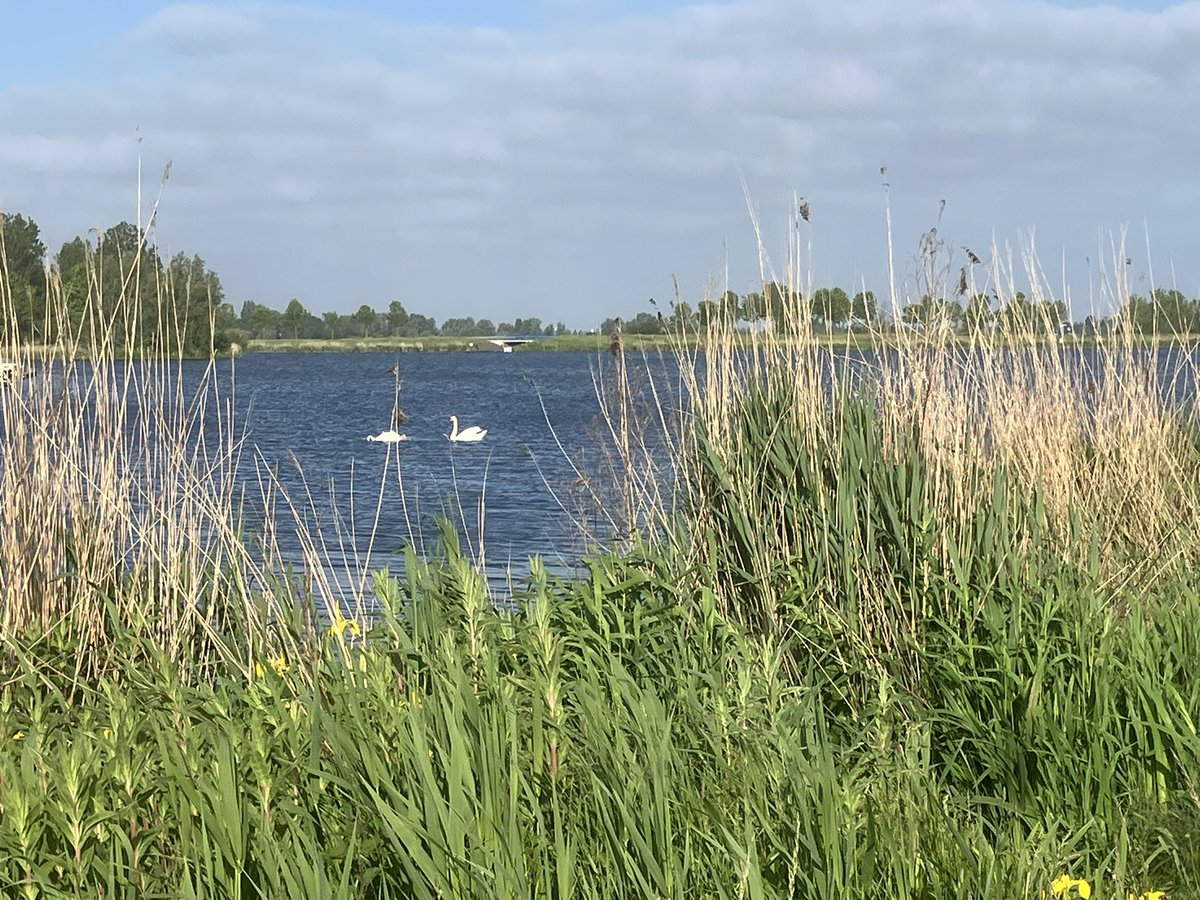 witblok's tweet image. Hardlopen. Rondje eigen omgeving. Prachtig! @gemZoetermeer