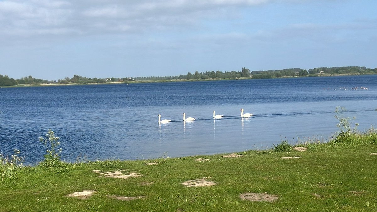 witblok's tweet image. Hardlopen. Rondje eigen omgeving. Prachtig! @gemZoetermeer