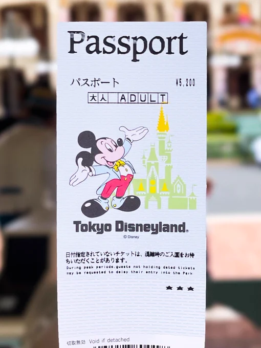 いにしえのパスポートで夢の国!