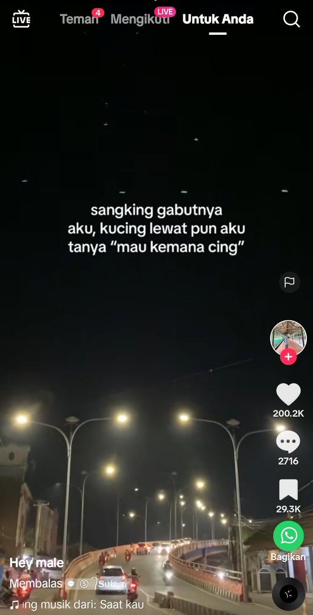 kochengfs's tweet photo. nyapa orang  ❌️nyapa kucing 🐈 ✅️ https://t.co/AAFLlMwu18