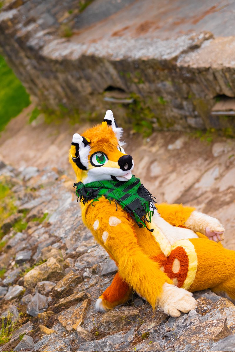 Kiba Wolf tweet media