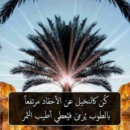 SafirOmar3's tweet photo. @Jumana09091492 "وماذلك على الله بعزيز"الأمر فقط يحتاج إلى:(الصلاة-برالوالدين-الورد-الصدقة-الصيام-
صلة الرحم-الباقيات الصالحات- ودعي مايشغلك عن ذكر الله فتلك الأمور متاهة لاتنتهي واذبحي الفراغ بسكين العمل)
وأحبي حتى عدوك صدقيني حتما سينقلب ذلك البعض إلى مودة والعدو الى صديق.

#الراحة_النفسية https://t.co/SDyOBDU5MG