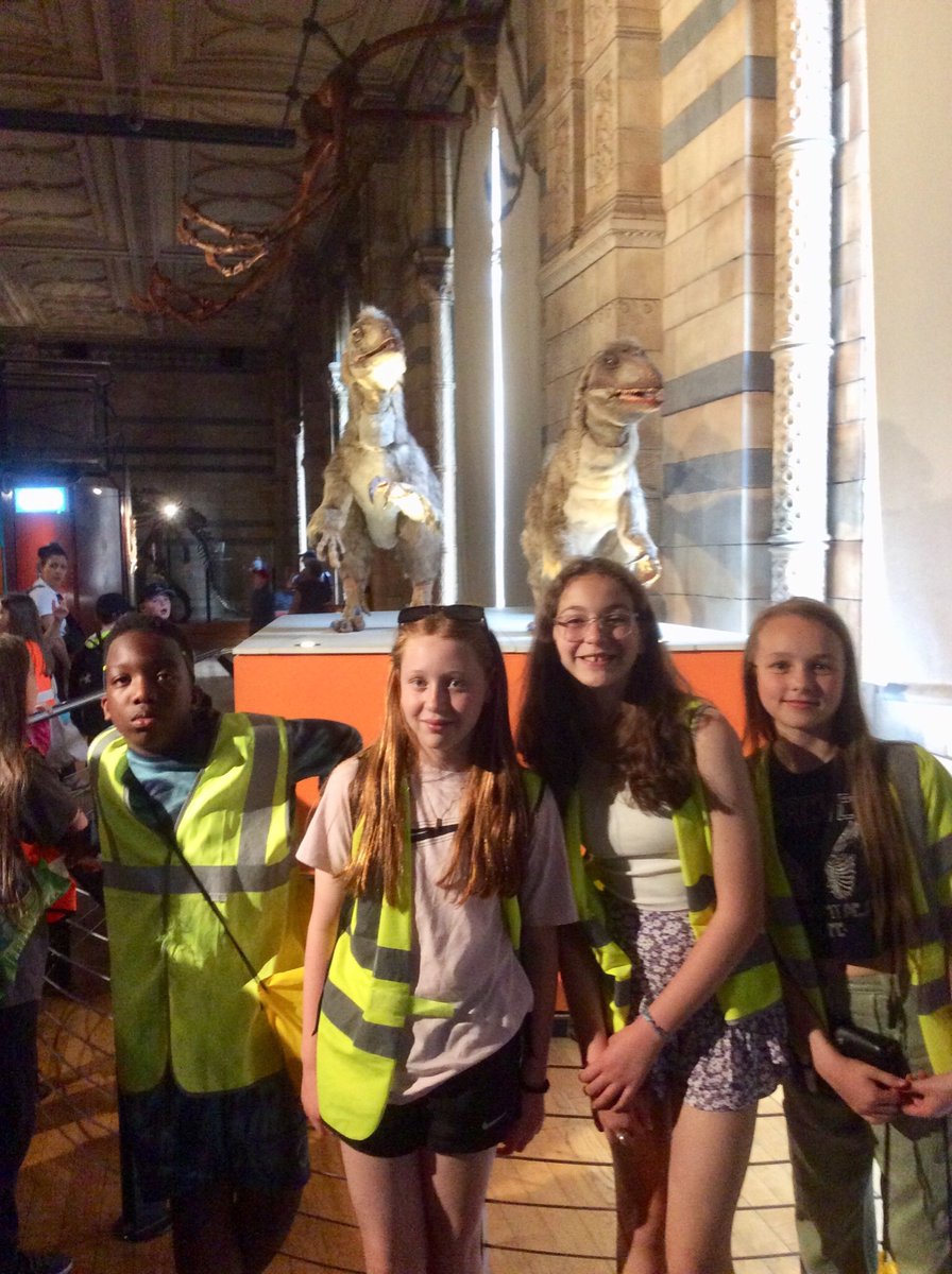 Mab's Cross Primary tweet media