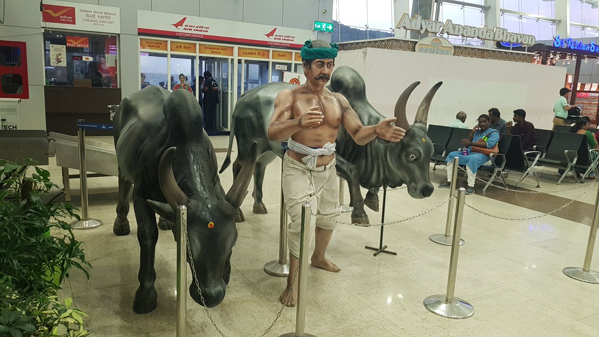 avinash_1171's tweet photo. #Chennai to #Delhi had a wonderful flight #AirIndia https://t.co/I0rablWHTb