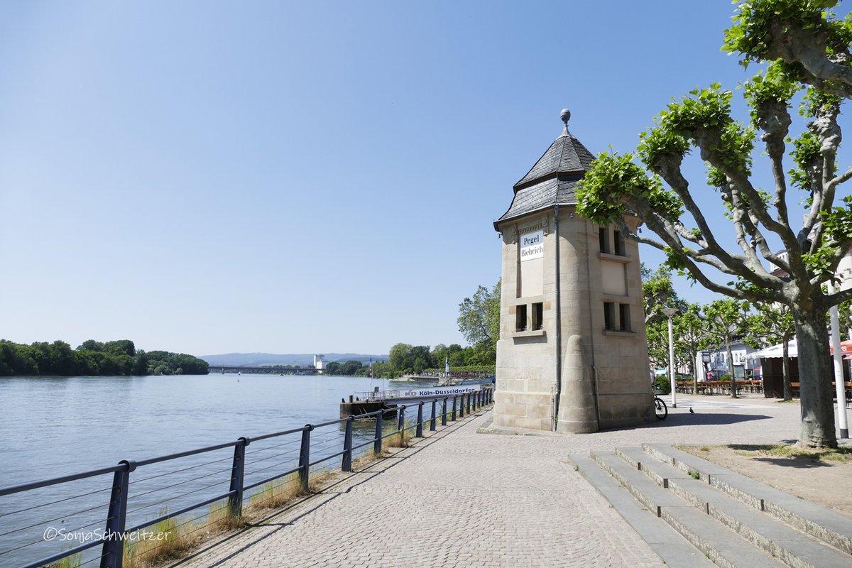 HessenSonja5767's tweet photo. Bei Schloss Biebrich........................ #Ausflugsziel #Ausflugstipp #Schloss #Biebrich #SchlossBiebrich #Park #Mosburg #Alexandersittiche #Landeshauptstadt #Rhein #Wiesbaden #Hessen #Germany https://t.co/hHj7ciFEgm