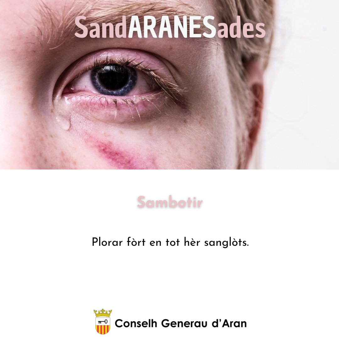 EnAranes's tweet photo. 📚En 2022 hec 80 ans dera mòrt de Josèp Sandaran Bacaria e en motiu dera declaracion der #AnSandaran peth Plen deth Conselh Generau d’Aran encetam aguesta seccion entà hèr-vos a conéisher mots e expressions pròpies der aranés de Canejan qu’arremassèc Sandaran hè mès de cent ans. https://t.co/ydqf4NkFtW