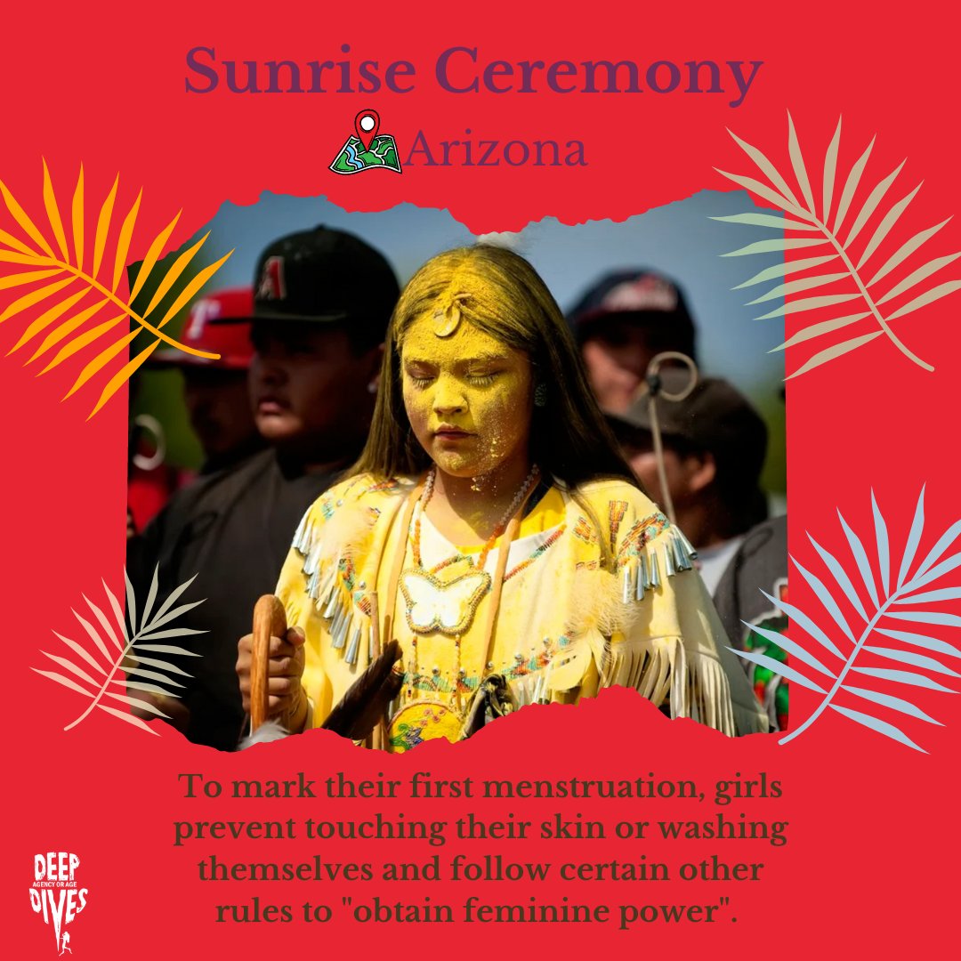 Deep Dives tweet media