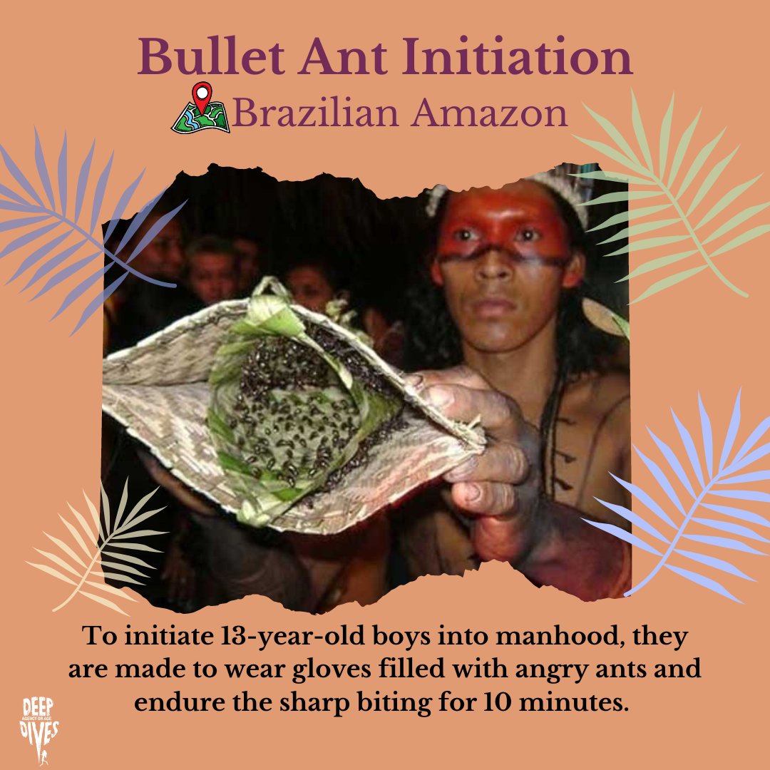 Deep Dives tweet media