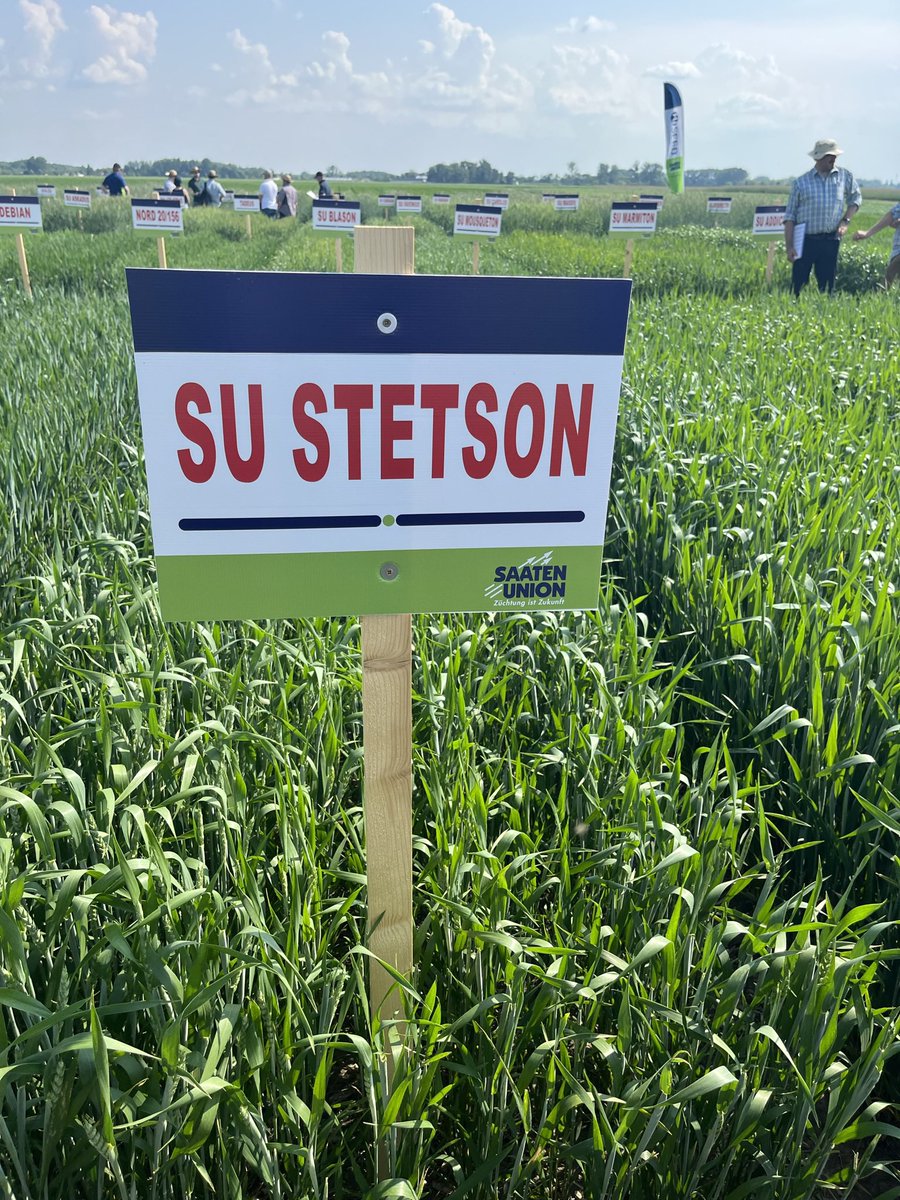 Saaten Union UK (@saatenuk) on Twitter photo With <a href="/SaatenUnionGmbH/">SAATEN-UNION Züchtung ist Zukunft – aber ohne «X»</a> colleagues from across Europe in Hungary looking at the diverse number of cereal crops available from Saaten Union. With <a href="/SaatenUnionGmbH/">SAATEN-UNION Züchtung ist Zukunft – aber ohne «X»</a> colleagues from across Europe in Hungary looking at the diverse number of cereal crops available from Saaten Union.