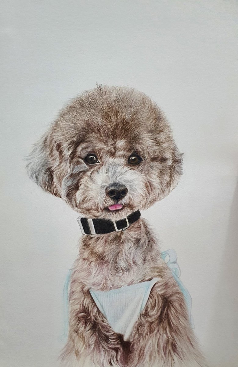 Excited to share the latest addition to my #etsy shop: Custom Hand-Drawn Pet Portrait etsy.me/43sU7iZ #dogportrait #dogpainting #dogdrawing #petgifts #petdrawing #petpainting #dogmemorial #dog #cat