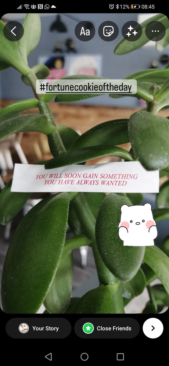 Dumpling King tweet media