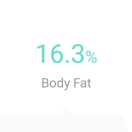 perpetualangus's tweet photo. Weight management accountability post #Day495
Current weight: 68.50 kg (🔻48.10 kg) https://t.co/mv0sz2C5fg