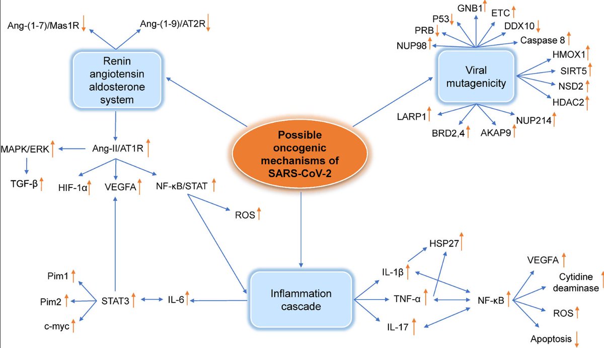 Woo Hoo on Twitter "RT HarrySpoelstra Possible cancercausing